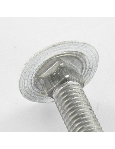 1 x TRCC JAPY tête ronde collet carré M7X65 Pas...