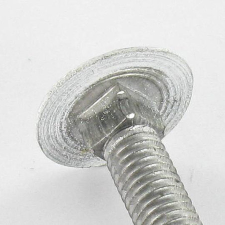 1 x TRCC JAPY tête ronde collet carré M7X65 Pas de 100 Filetage total Aluminium RAL9016 blanc signalisation 30%