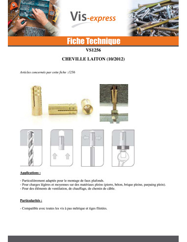 1 x Cheville Laiton 10X28 M8