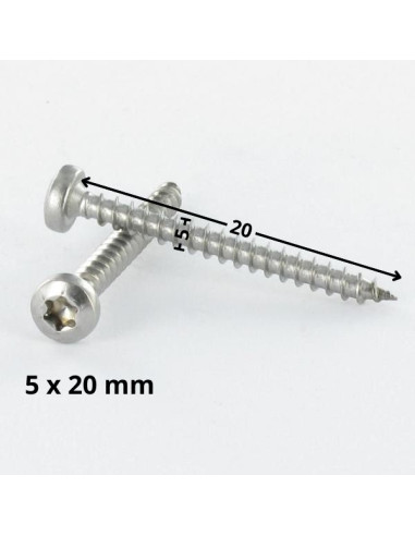 1 x VBA Vis bois agglo Tête ronde TR 5X20 TORX...