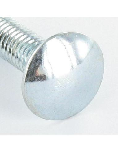 1 x TRCC JAPY tête ronde collet carré M6X20...