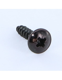 VBA Vis bois agglo Poelier Pozi N°2 4.5X20 Acier zingué noir 2