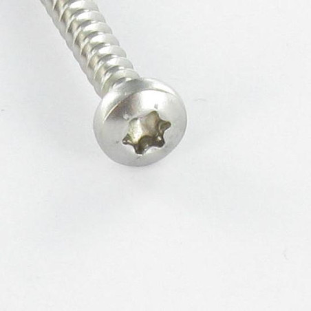 1 x VBA Vis bois agglo Tête ronde TR 5X25 TORX T25 Acier zingué