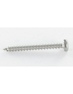 VBA Vis bois agglo Tête ronde TR 3.5X15 TORX T15 Acier... 2