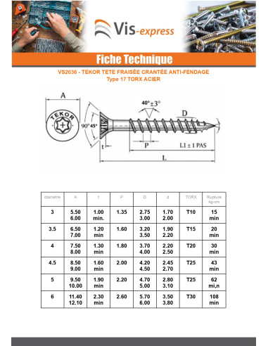 1 x VBA Vis bois agglo Tête fraisée TORX T25...