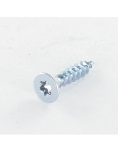 VBA Vis bois agglo Tête fraisée TORX T10 3X20 Acier...