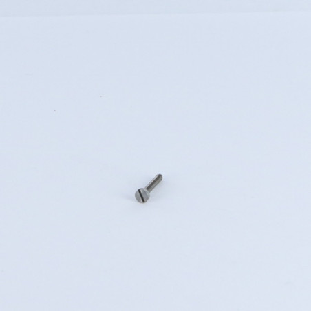 1 x Vis métaux Tête cylindrique TC Fendue M2X6 Acier brut microvis