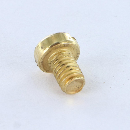 1 x Vis métaux Tête cylindrique TC Fendue M4X6 Acier laitonne
