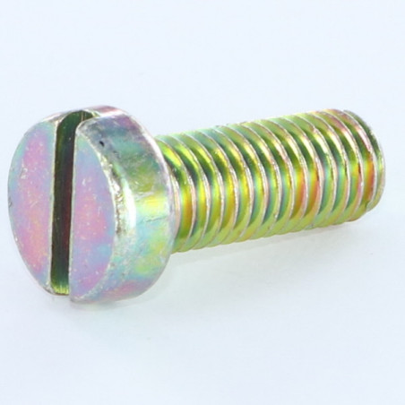 1 x Vis métaux Tête cylindrique TC Fendue M4X12 Bichromaté