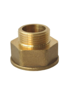 Mamelon hexagonal réduit Figure 246 pour joint plat...
