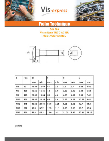 1 x TRCC JAPY tête ronde collet carré M20X180...