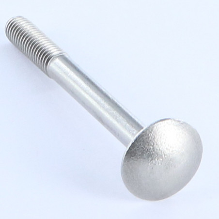 1 x TRCC JAPY tête ronde collet carré M16X260 Filetage partiel Acier zingué