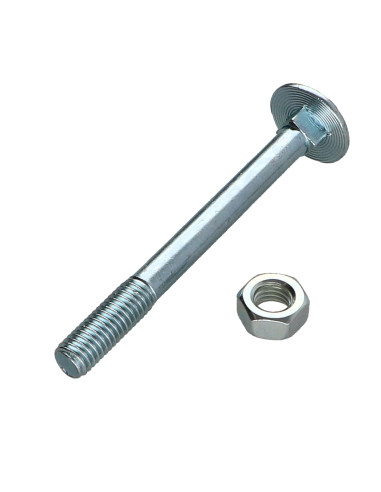1 x TRCC JAPY tête ronde collet carré M8X80...