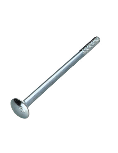 1 x TRCC JAPY tête ronde collet carré M20X120...