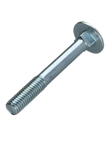 1 x TRCC JAPY tête ronde collet carré M8X60...
