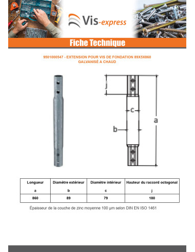 1 x Extension pour vis de fondation 89X5X860...