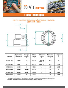 Mamelon hexagonal Figure 529 pour joint plat Mâle/Femelle... 2