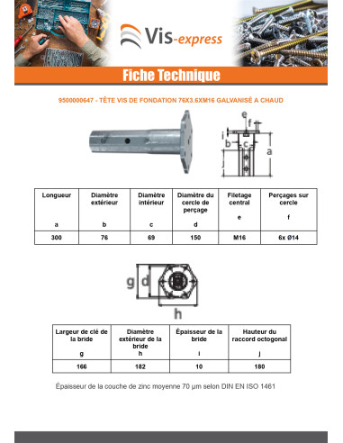 1 x Tête vis de fondation 76X3.6XM16 Forte...