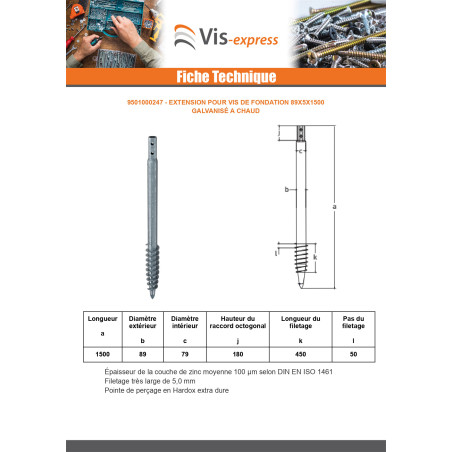 1 x Vis de fondation 89X5X1500 Forte tenue à la corrosion Acier galvanisé à chaud