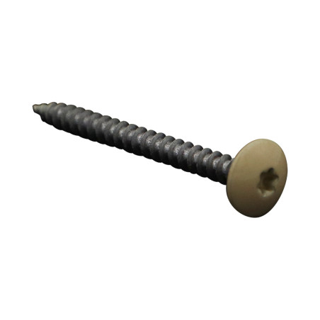 1 x Vis Penture 4.5X50 Filetage total TORX T20 Acier zingué LAQ RAL1014