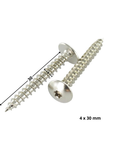 1 x Vis Penture 4X30 Filetée sur 20 TORX T20...