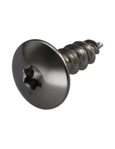 1 x Vis Penture 5X16 Filetage total TORX T20...