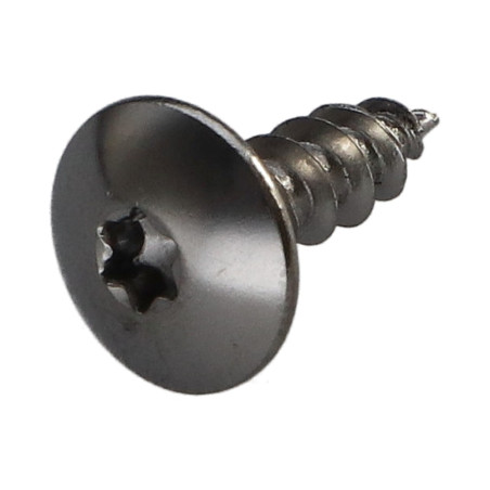 1 x Vis Penture 5X16 Filetage total TORX T20 Acier chrome