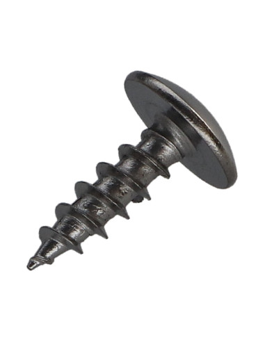 1 x Vis Penture 5X16 Filetage total TORX T20...