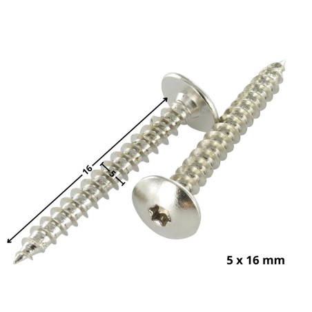 1 x Vis Penture 5X16 Filetage total TORX T20 Acier chrome
