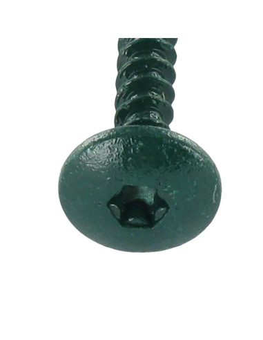 1 x Vis Penture 4.5X50 Filetage total TORX T20...