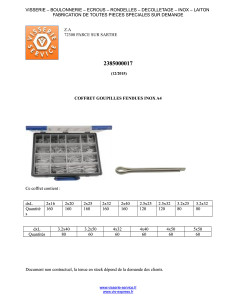 Assortiment de 1580 Goupille Fendue Inox A2 2
