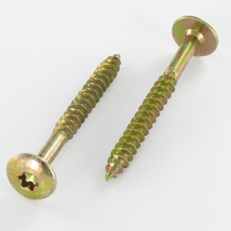 1 x Vis Penture 6X60 Filetée sur 43 TORX T30 Diamètre de tête: 14 Bichromaté