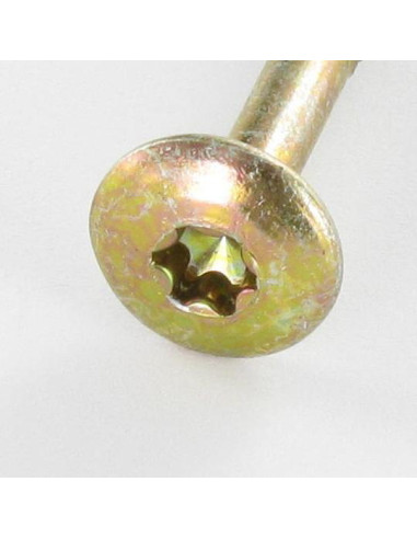 1 x Vis Penture 6X60 Filetée sur 43 TORX T30...