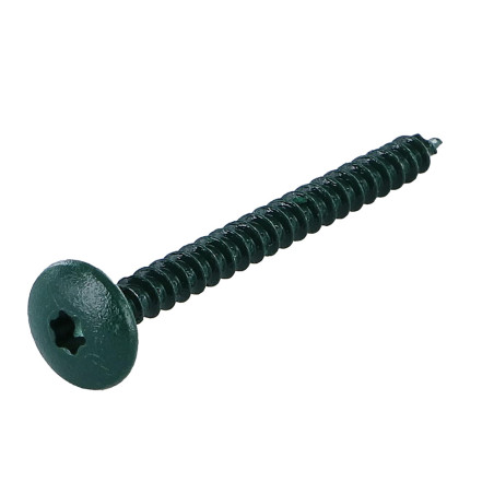 1 x Vis Penture 4.5X50 Filetage total TORX T20 Acier zingué LAQ RAL6005 vert mousse