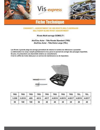 1 x Assortiment de 500 Rivet aveugle...