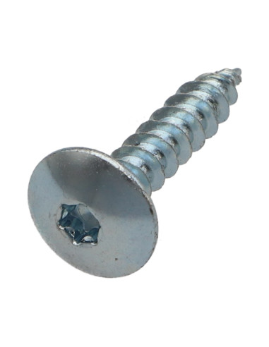 1 x Vis Penture 6X25 Filetage total TORX T30...
