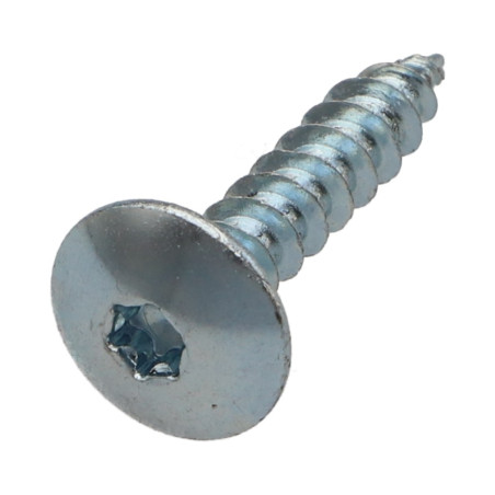1 x Vis Penture 6X25 Filetage total TORX T30 Acier zingué