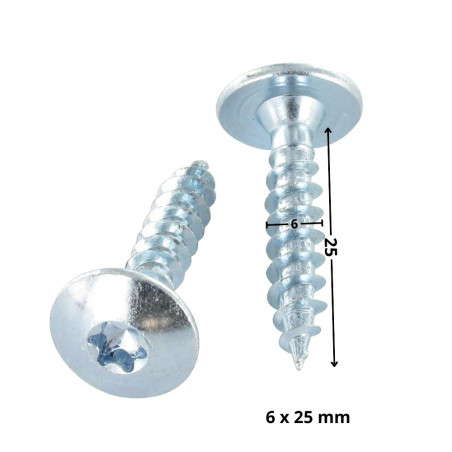 1 x Vis Penture 6X25 Filetage total TORX T30 Acier zingué