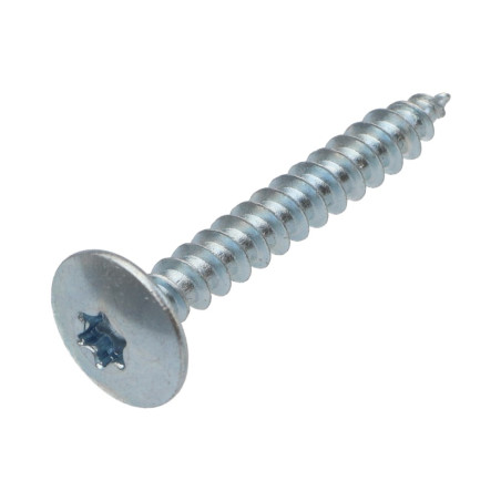 1 x Vis Penture 6X60 Filetage partiel TORX T30 Acier zingué