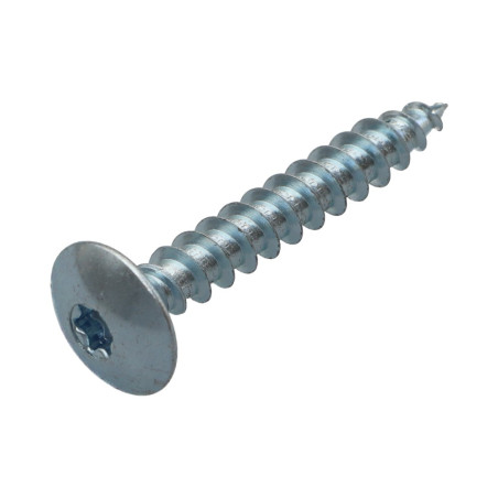 1 x Vis Penture 7X50 Filetage partiel TORX T30 Acier zingué