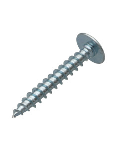 Vis Penture 7X50 Filetage partiel TORX T30 Acier zingué 2