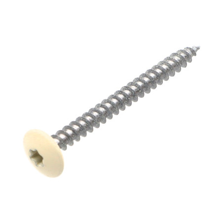 1 x Vis Penture 4.5X50 Filetage total TORX T20 Acier zingué LAQ RAL9010 blanc pur