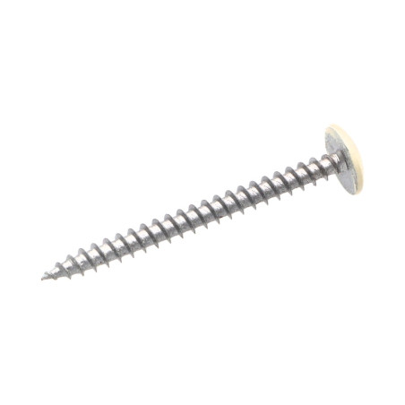 1 x Vis Penture 4.5X50 Filetage total TORX T20 Acier zingué LAQ RAL9010 blanc pur