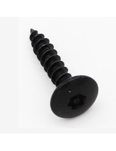 Vis Penture Inviolable 6X30 Filetée sur 30 T30+TET Pointe...