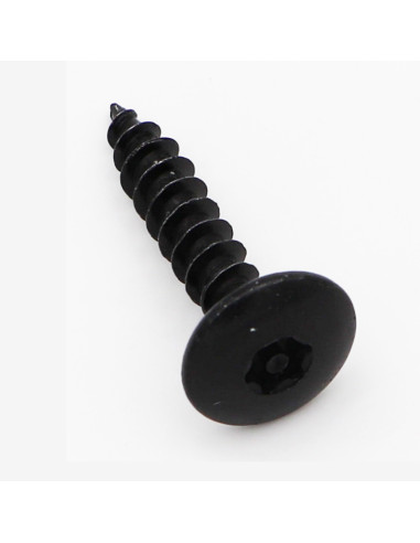 1 x Vis Penture Inviolable 6X30 Filetée sur 30...