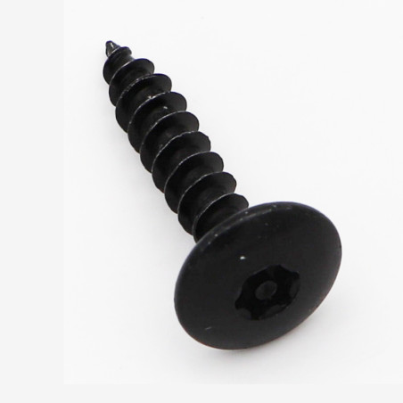 1 x Vis Penture Inviolable 6X30 Filetée sur 30 T30+TET Pointe antifendage type 17 Acier zingué noir
