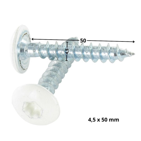 1 x Vis Penture 4.5X50 Filetage total TORX T20 Acier zingué LAQ RAL9010 blanc pur