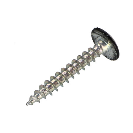 1 x Vis Penture 6X40 Filetage partiel TORX T30 Acier zingué Laqué noir 9005