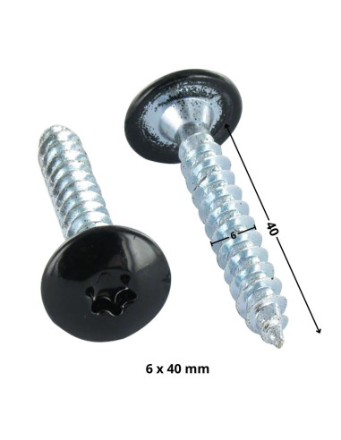 1 x Vis Penture 6X40 Filetage partiel TORX T30...