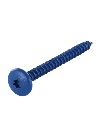 1 x Vis Penture 4.5X50 Filetage total TORX T20...